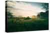 Tractor Landscape, Misty Sonoma County Morning, Bay Area-Vincent James-Stretched Canvas