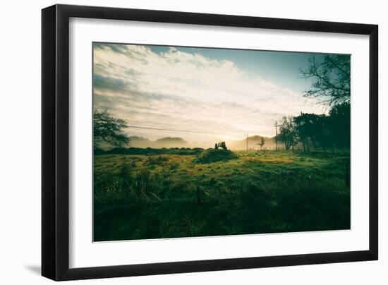 Tractor Landscape, Misty Sonoma County Morning, Bay Area-Vincent James-Framed Photographic Print