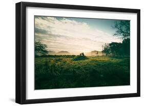 Tractor Landscape, Misty Sonoma County Morning, Bay Area-Vincent James-Framed Photographic Print