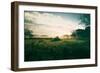 Tractor Landscape, Misty Sonoma County Morning, Bay Area-Vincent James-Framed Premium Photographic Print