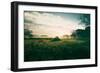 Tractor Landscape, Misty Sonoma County Morning, Bay Area-Vincent James-Framed Premium Photographic Print