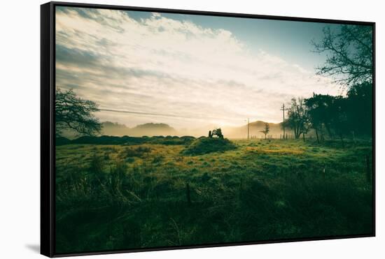 Tractor Landscape, Misty Sonoma County Morning, Bay Area-Vincent James-Framed Stretched Canvas
