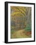 Tractor Road in the Woods on the Steele Farm, Kennebunkport, Maine, USA-Jerry & Marcy Monkman-Framed Photographic Print