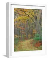 Tractor Road in the Woods on the Steele Farm, Kennebunkport, Maine, USA-Jerry & Marcy Monkman-Framed Photographic Print