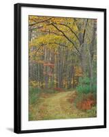 Tractor Road in the Woods on the Steele Farm, Kennebunkport, Maine, USA-Jerry & Marcy Monkman-Framed Photographic Print