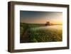 Tractor Spraying Pesticides on Vegetable Field with Sprayer at Spring-Fotokostic-Framed Photographic Print