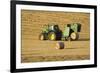 Tractor Stopping to Allow Hay Bale Making Machine-null-Framed Photographic Print