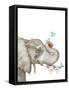 Framed Canvas
