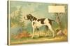Trade Card of a Hound Dog in the Forest-null-Stretched Canvas