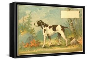 Trade Card of a Hound Dog in the Forest-null-Framed Stretched Canvas