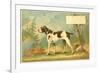 Trade Card of a Hound Dog in the Forest-null-Framed Giclee Print