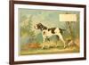 Trade Card of a Hound Dog in the Forest-null-Framed Giclee Print