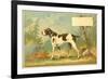 Trade Card of a Hound Dog in the Forest-null-Framed Giclee Print