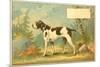 Trade Card of a Hound Dog in the Forest-null-Mounted Giclee Print