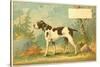 Trade Card of a Hound Dog in the Forest-null-Stretched Canvas