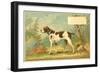 Trade Card of a Hound Dog in the Forest-null-Framed Giclee Print