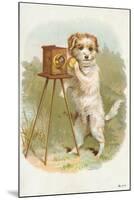 Trade Card of a Terrier Photographer-null-Mounted Giclee Print