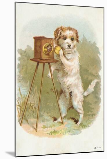 Trade Card of a Terrier Photographer-null-Mounted Giclee Print