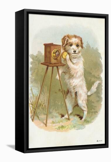 Trade Card of a Terrier Photographer-null-Framed Stretched Canvas