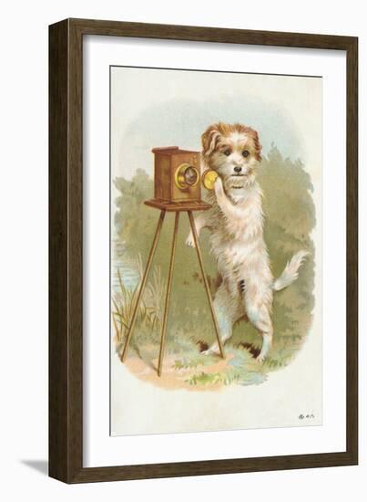 Trade Card of a Terrier Photographer-null-Framed Giclee Print