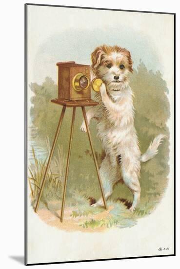 Trade Card of a Terrier Photographer-null-Mounted Giclee Print
