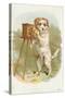Trade Card of a Terrier Photographer-null-Stretched Canvas