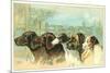 Trade Card with the Profiles of Five Different Dog Breeds-null-Mounted Giclee Print