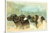Trade Card with the Profiles of Five Different Dog Breeds-null-Stretched Canvas