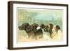 Trade Card with the Profiles of Five Different Dog Breeds-null-Framed Giclee Print