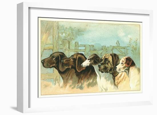 Trade Card with the Profiles of Five Different Dog Breeds-null-Framed Giclee Print