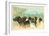Trade Card with the Profiles of Five Different Dog Breeds-null-Framed Giclee Print
