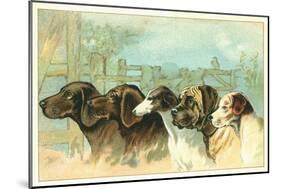 Trade Card with the Profiles of Five Different Dog Breeds-null-Mounted Giclee Print