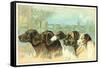 Trade Card with the Profiles of Five Different Dog Breeds-null-Framed Stretched Canvas