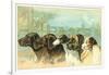 Trade Card with the Profiles of Five Different Dog Breeds-null-Framed Giclee Print