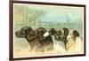 Trade Card with the Profiles of Five Different Dog Breeds-null-Framed Giclee Print