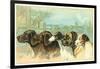 Trade Card with the Profiles of Five Different Dog Breeds-null-Framed Giclee Print