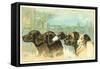 Trade Card with the Profiles of Five Different Dog Breeds-null-Framed Stretched Canvas