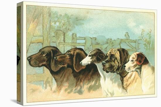 Trade Card with the Profiles of Five Different Dog Breeds-null-Stretched Canvas