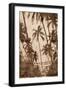 Trade Winds I-John Seba-Framed Art Print