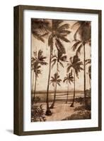 Trade Winds II-John Seba-Framed Art Print