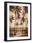 Trade Winds II-John Seba-Framed Art Print