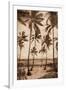 Trade Winds II-John Seba-Framed Art Print