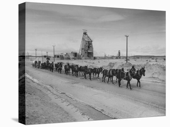 Trademark Twenty Mule Team of the US Borax Co. Pulling Wagon Loaded with Borax-Ralph Crane-Stretched Canvas