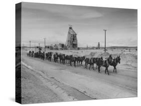 Trademark Twenty Mule Team of the US Borax Co. Pulling Wagon Loaded with Borax-Ralph Crane-Stretched Canvas