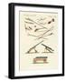 Trades, Arts and Handworks in China-null-Framed Giclee Print