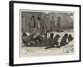Trading in British America, Arrival of a Dog-Sleigh at Winnipeg Manitoba-Samuel Edmund Waller-Framed Giclee Print