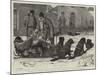 Trading in British America, Arrival of a Dog-Sleigh at Winnipeg Manitoba-Samuel Edmund Waller-Mounted Giclee Print