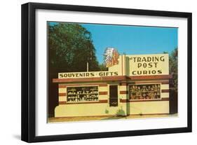Trading Post Curio Shop-null-Framed Art Print