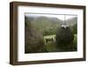 Traditional Alpine Agriculture With Hayrick And Grazing Cow (Bos Taurus) Amidst Woodland. Romania-David Woodfall-Framed Photographic Print
