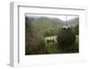 Traditional Alpine Agriculture With Hayrick And Grazing Cow (Bos Taurus) Amidst Woodland. Romania-David Woodfall-Framed Photographic Print